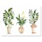 Designart - Houseplant Monstera & Peace Lily In Terra Cotta - Farmhouse Canvas Wall Art Print